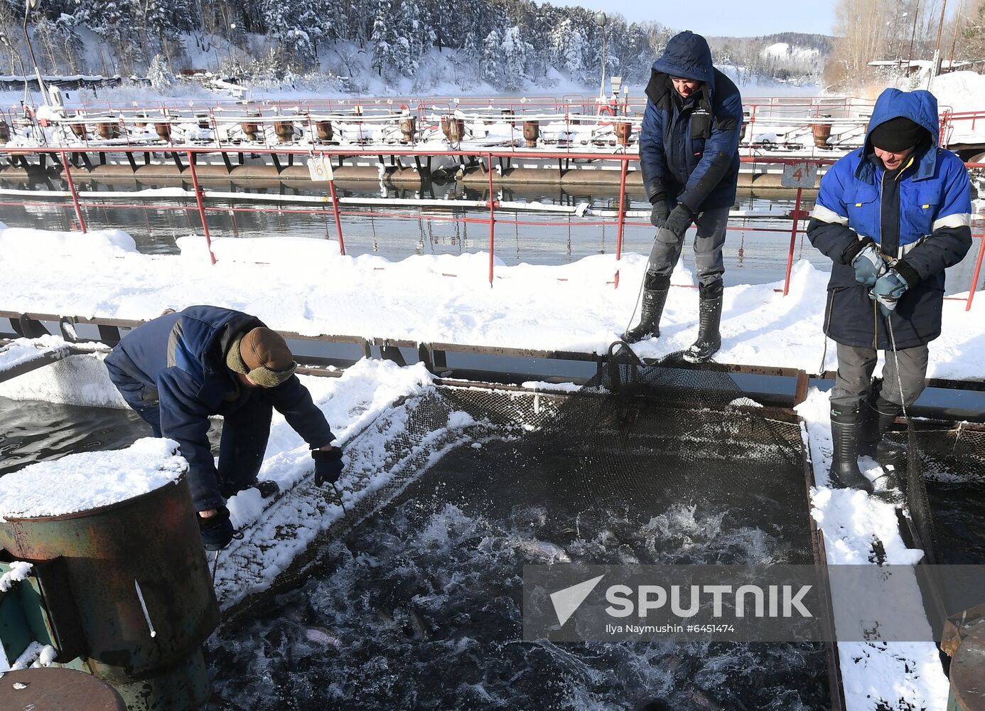 Russia Fish Farm