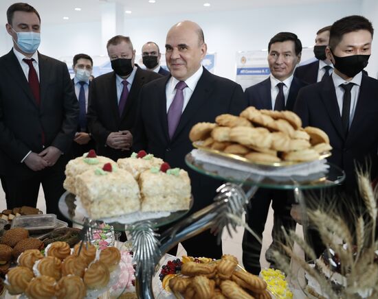 Russia Mishustin Southern Federal District