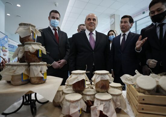 Russia Mishustin Southern Federal District