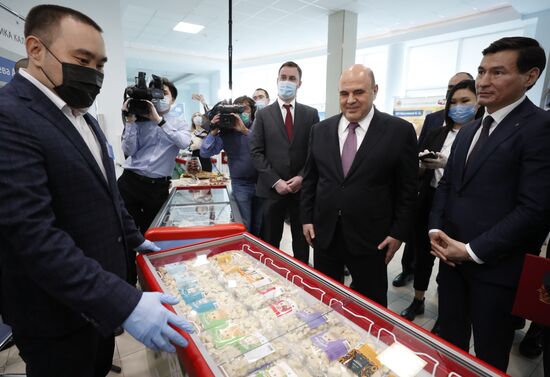 Russia Mishustin Southern Federal District