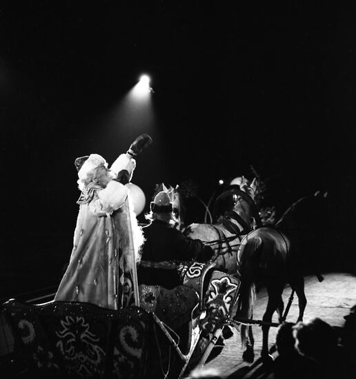 New Year's show at Luzhniki Sports Palace
