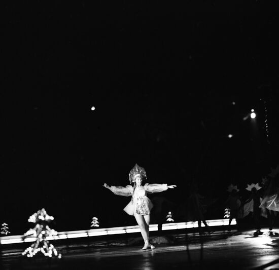 New Year's show at Luzhniki Sports Palace