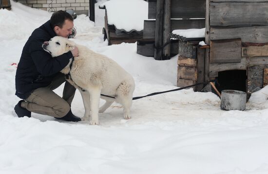 Goat farm in Tambov Region