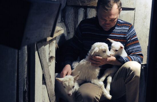 Goat farm in Tambov Region