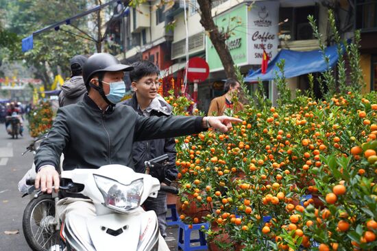 Vietnam Lunar New Year Preparations