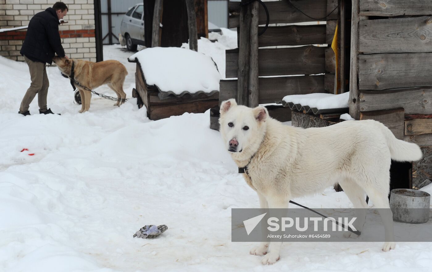 Goat farm in Tambov Region