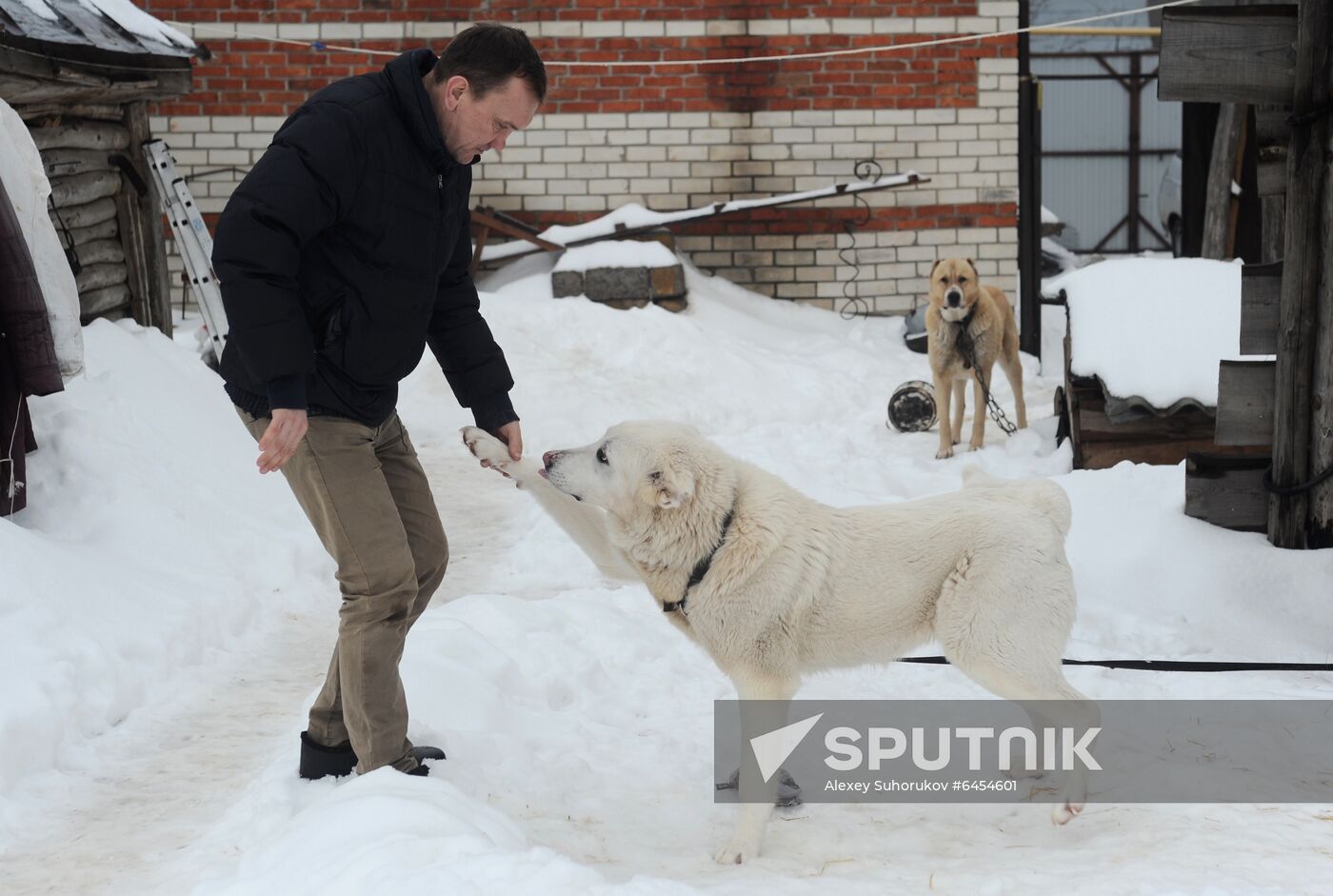 Goat farm in Tambov Region