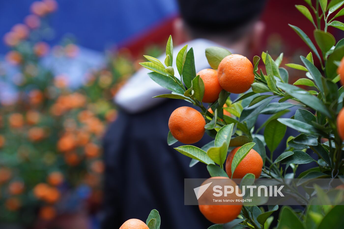 Vietnam Lunar New Year Preparations