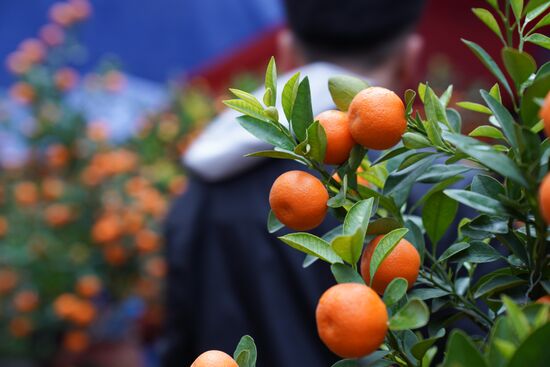 Vietnam Lunar New Year Preparations