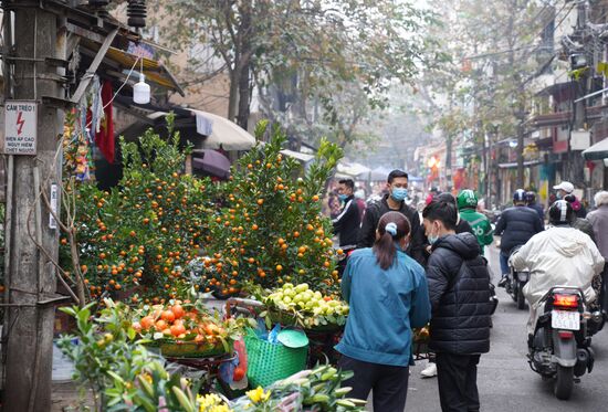 Vietnam Lunar New Year Preparations