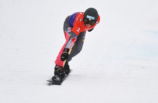 Russia Snowboard World Cup
