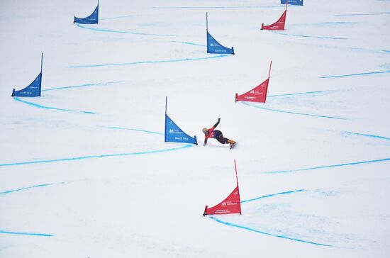 Russia Snowboard World Cup