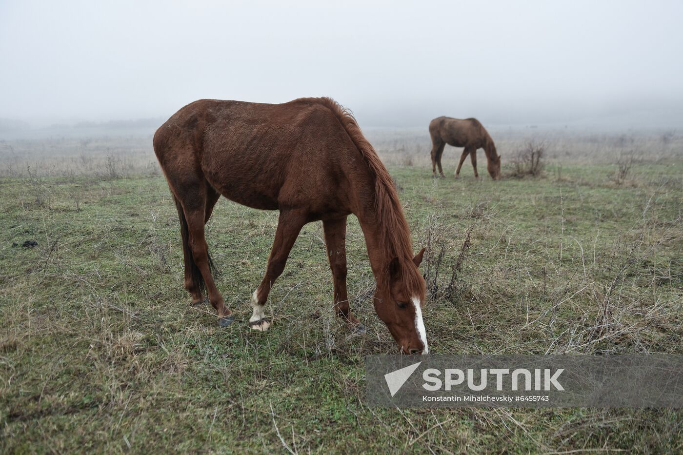 Russia Daily Life