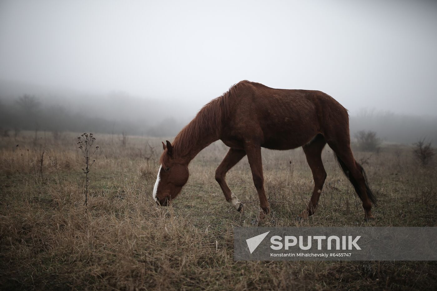 Russia Daily Life