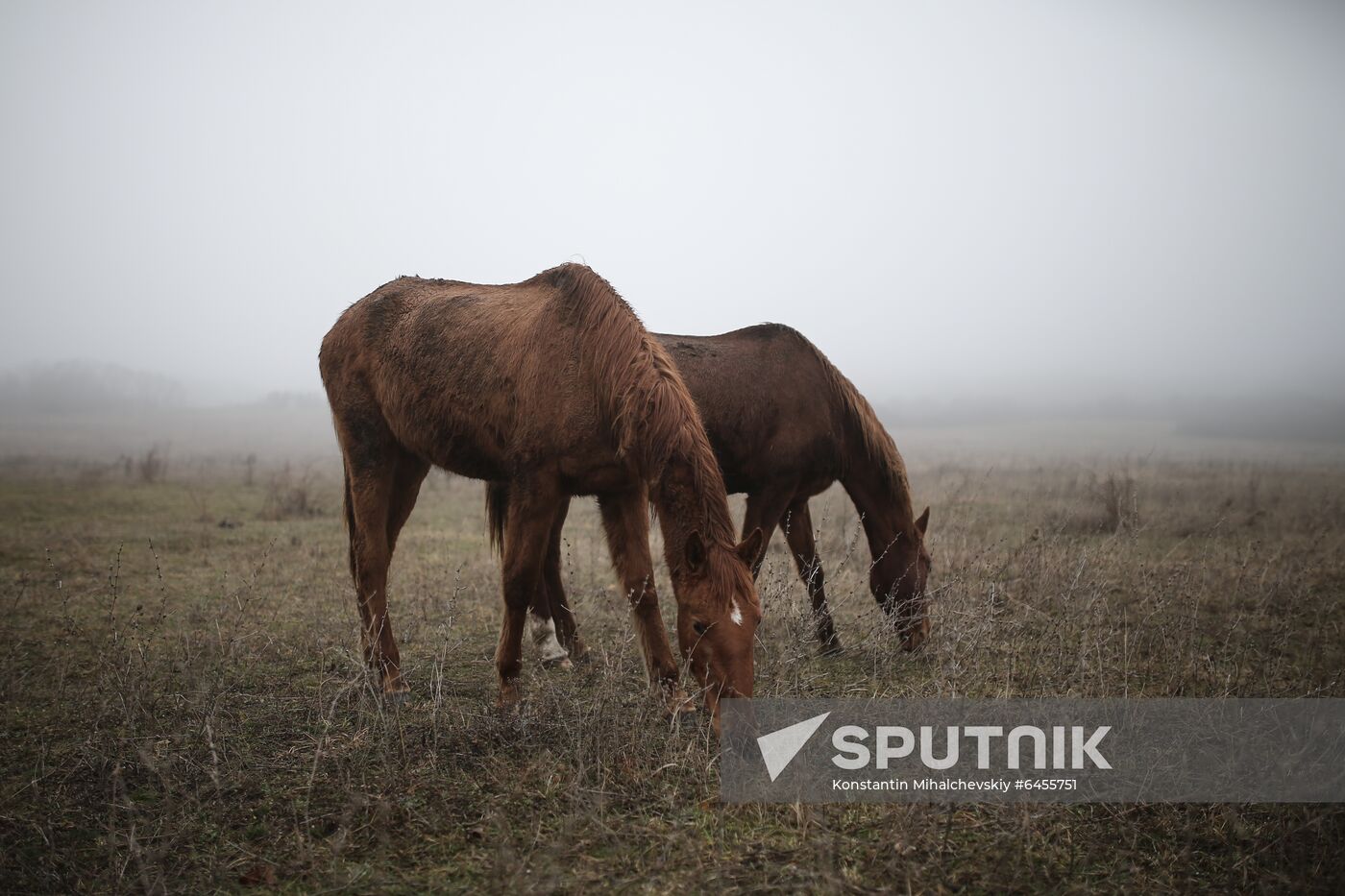 Russia Daily Life