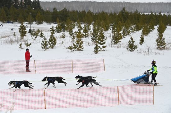 Russia Sled Dog Race