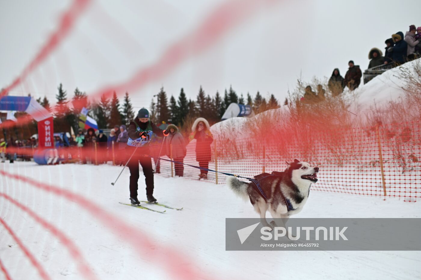Russia Sled Dog Race