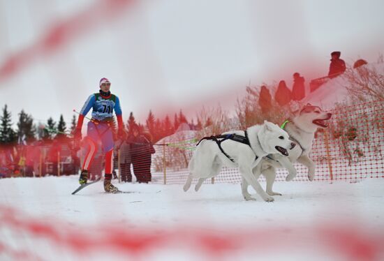 Russia Sled Dog Race