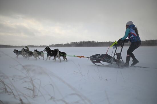 Russia Sled Dog Race