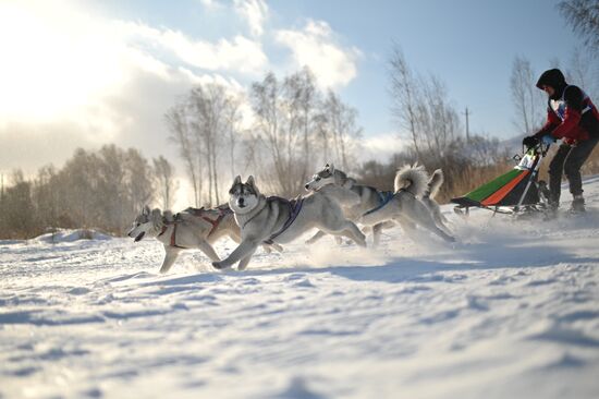 Russia Sled Dog Race