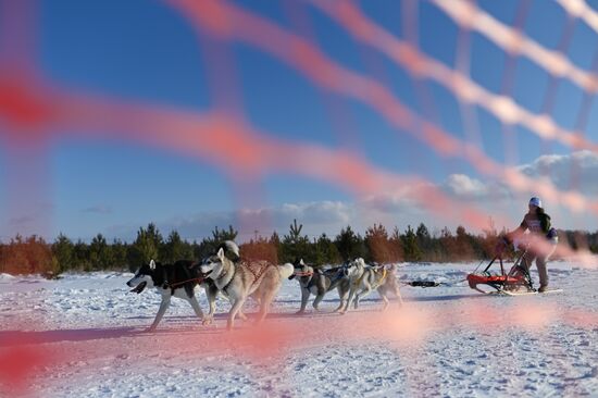 Russia Sled Dog Race