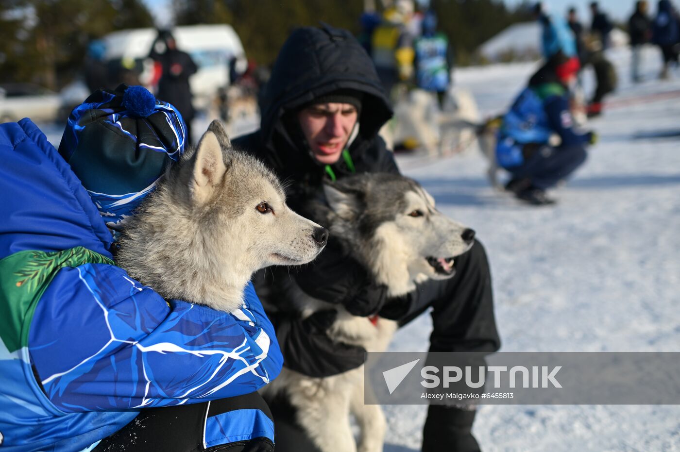 Russia Sled Dog Race