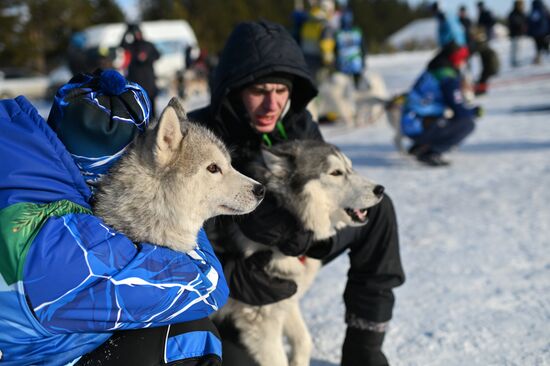 Russia Sled Dog Race