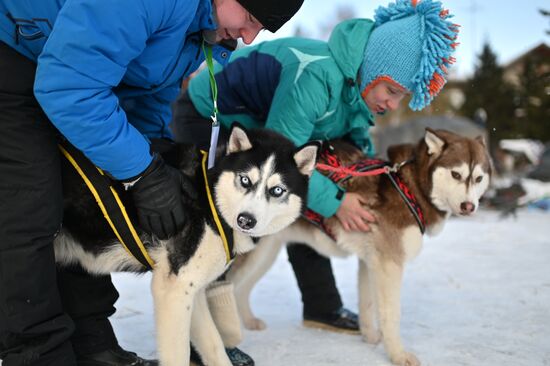 Russia Sled Dog Race