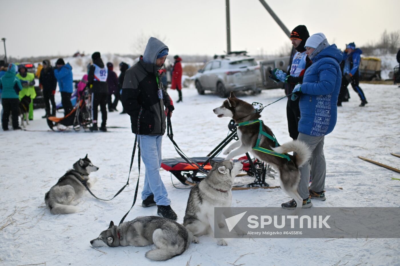 Russia Sled Dog Race