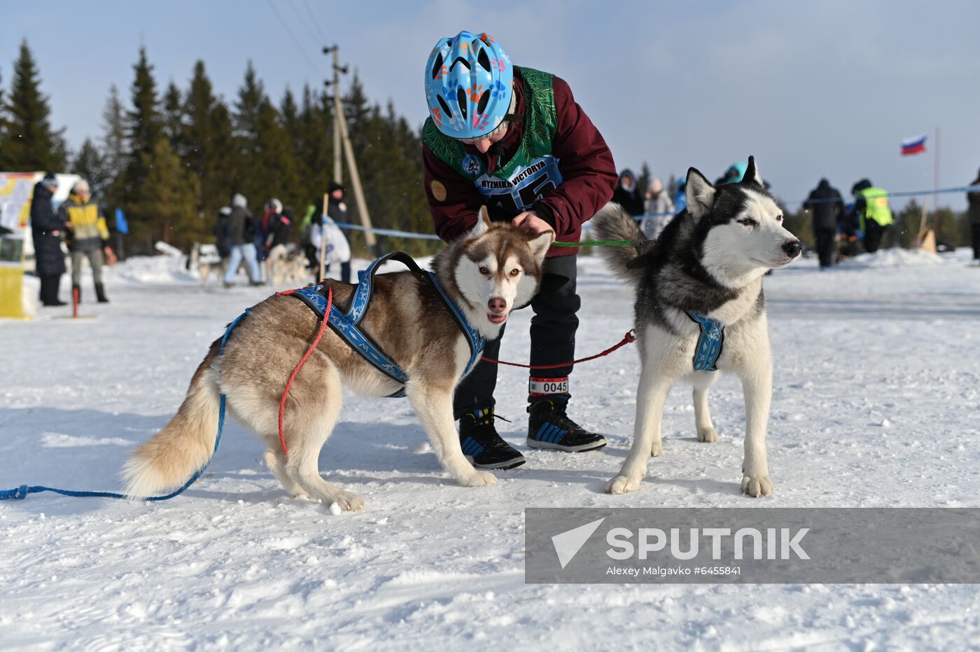 Russia Sled Dog Race