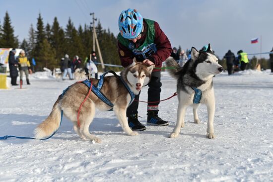Russia Sled Dog Race