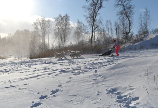 Russia Sled Dog Race