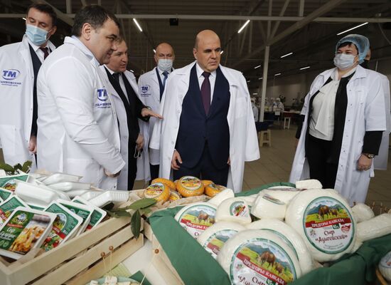 Russia Mishustin Southern Federal District