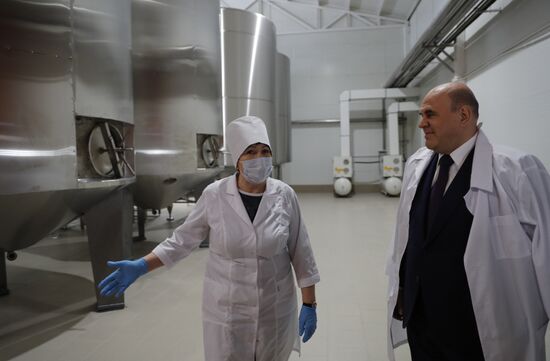 Russia Mishustin Southern Federal District