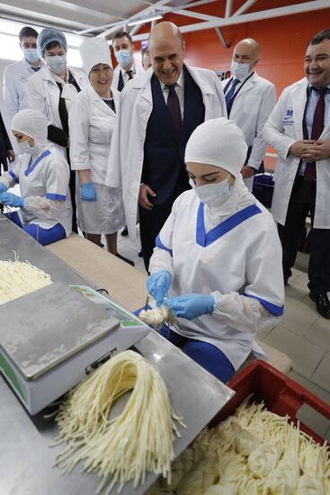 Russia Mishustin Southern Federal District