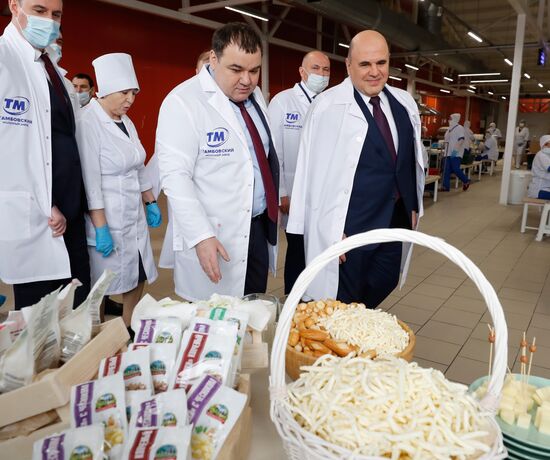 Russia Mishustin Southern Federal District