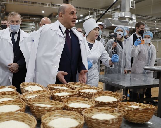 Russia Mishustin Southern Federal District