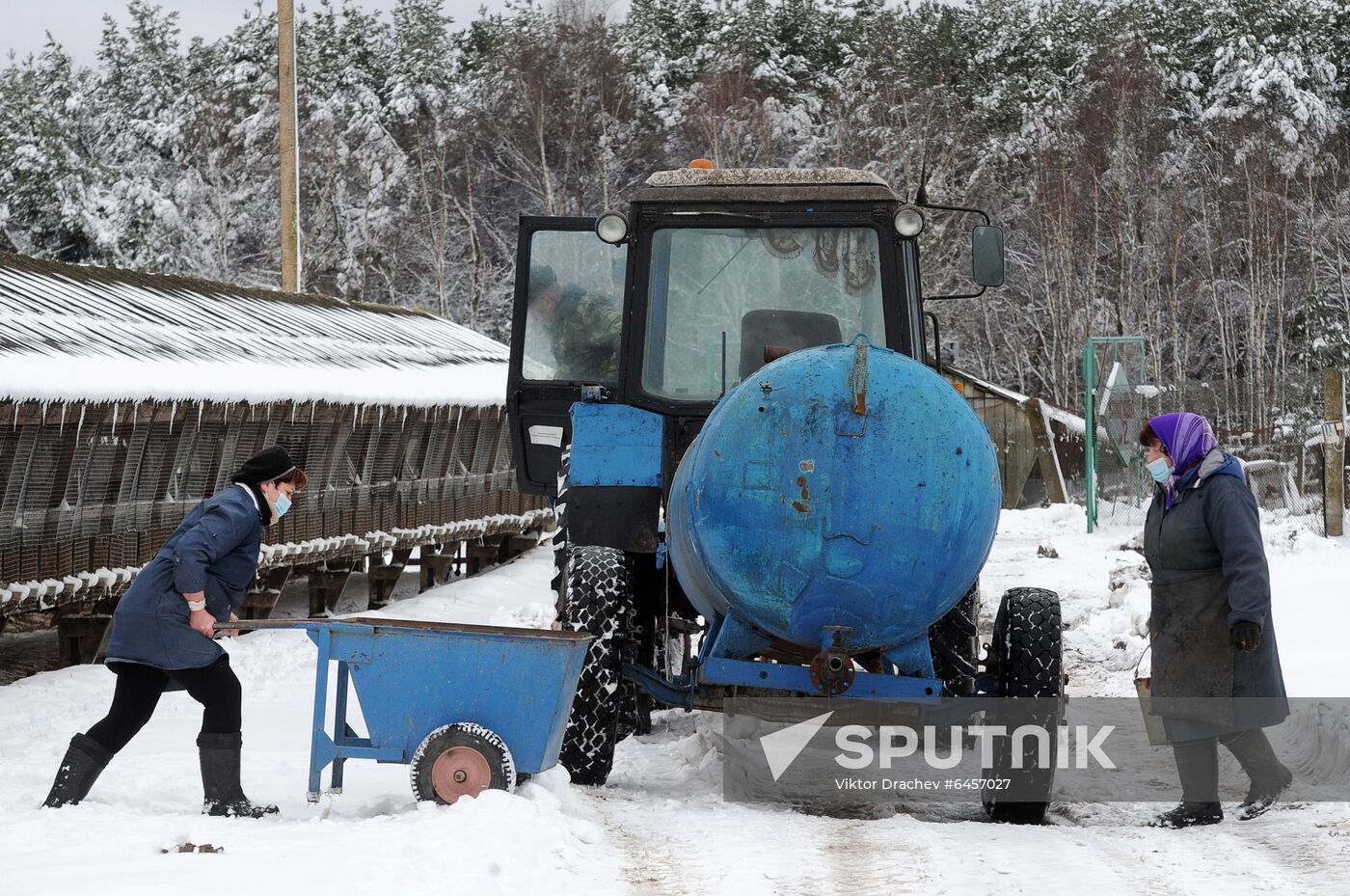 Belarus Mink Breeding