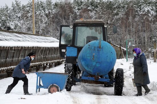 Belarus Mink Breeding