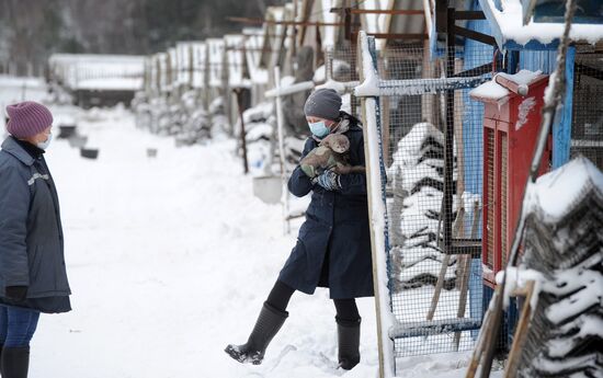 Belarus Mink Breeding