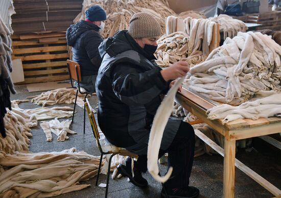Belarus Mink Breeding
