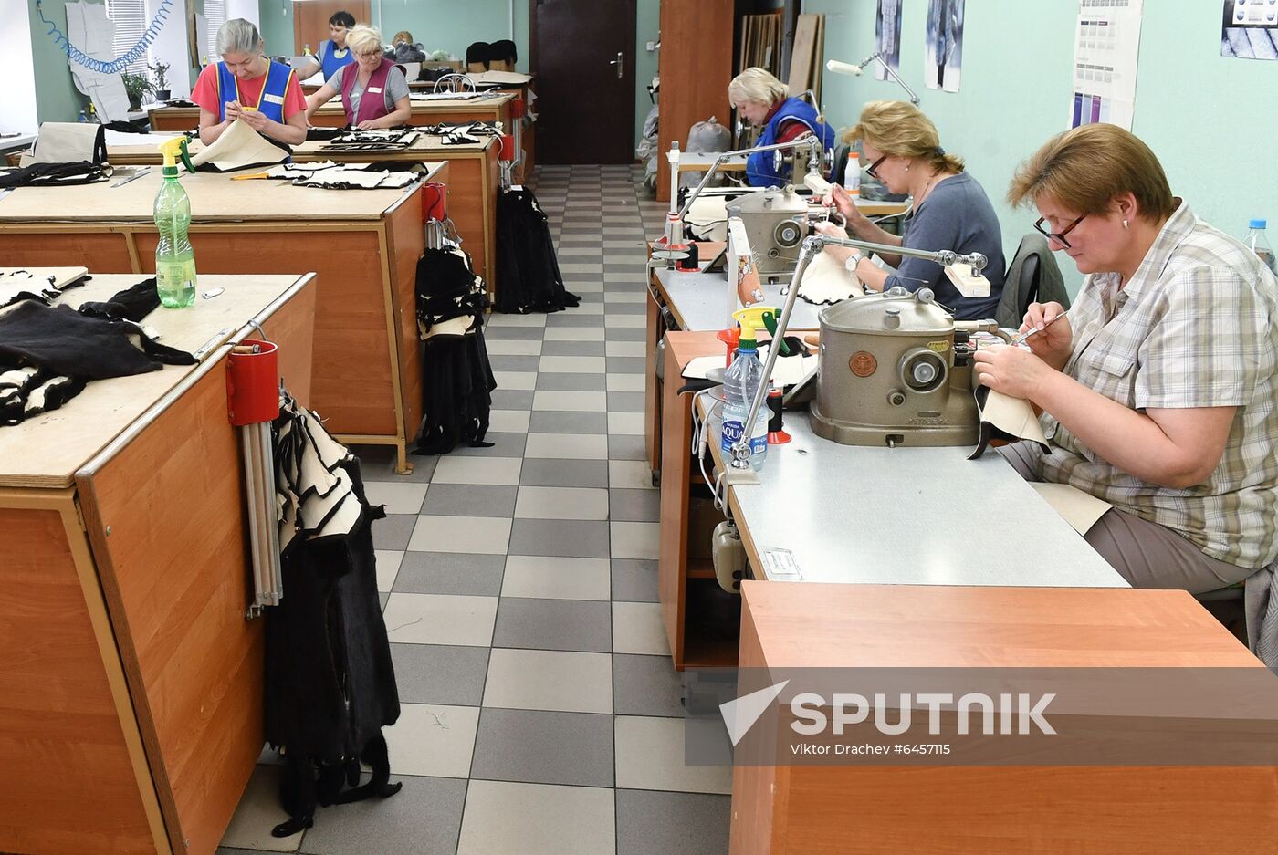 Belarus Mink Breeding