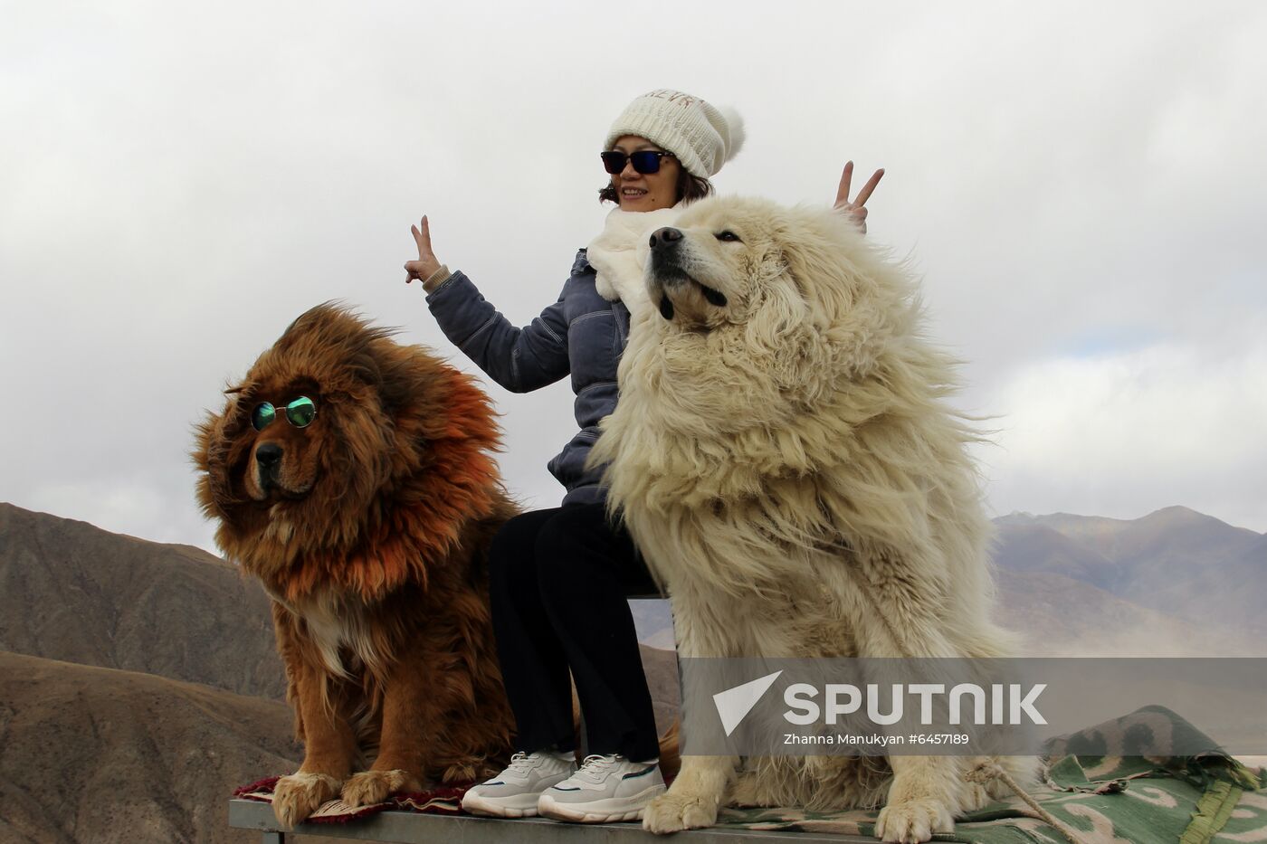 China Tibetan Monastery