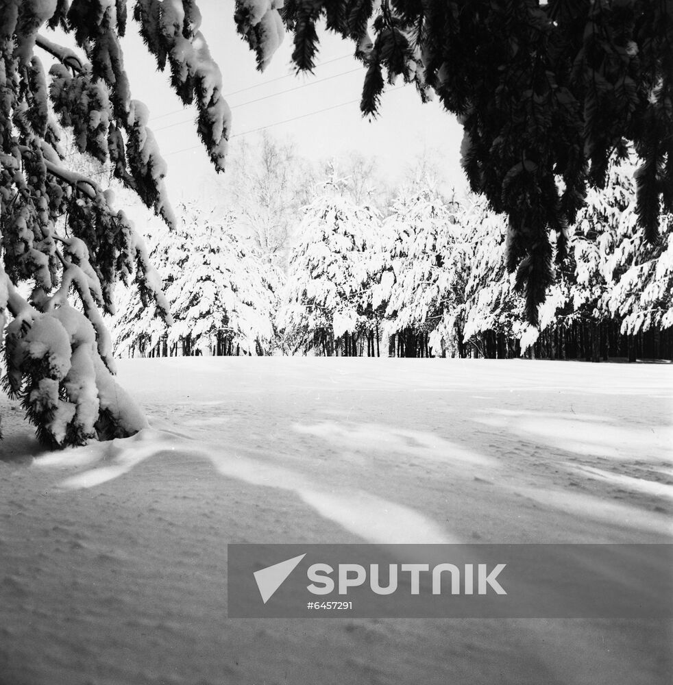 Winter day in Moscow Region