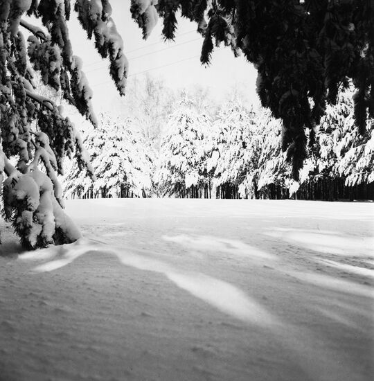 Winter day in Moscow Region