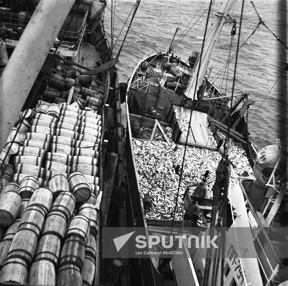 Fishery in Kamchatka