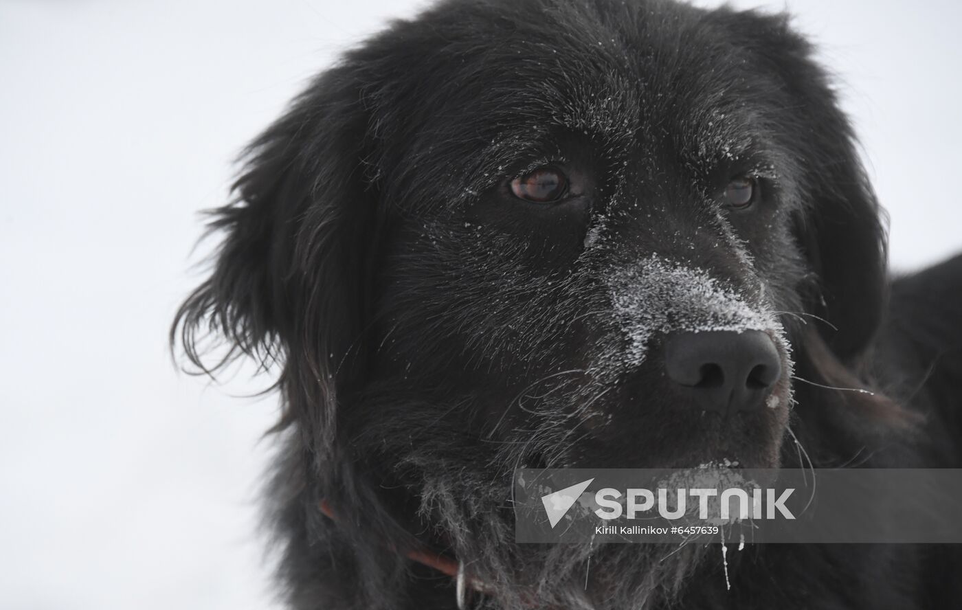 Russia Winter