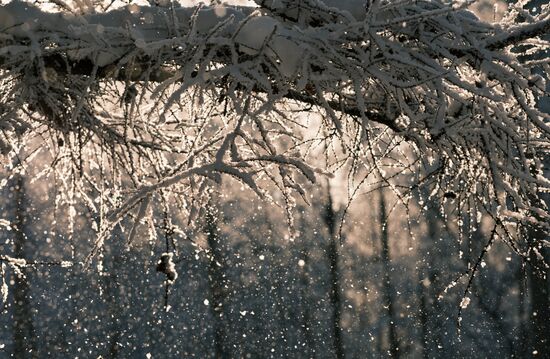 Russia Winter