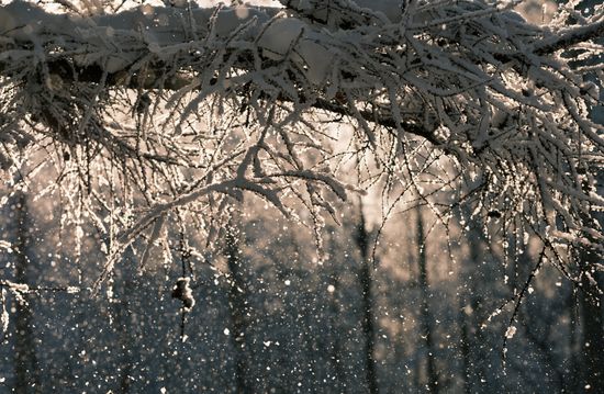 Russia Winter