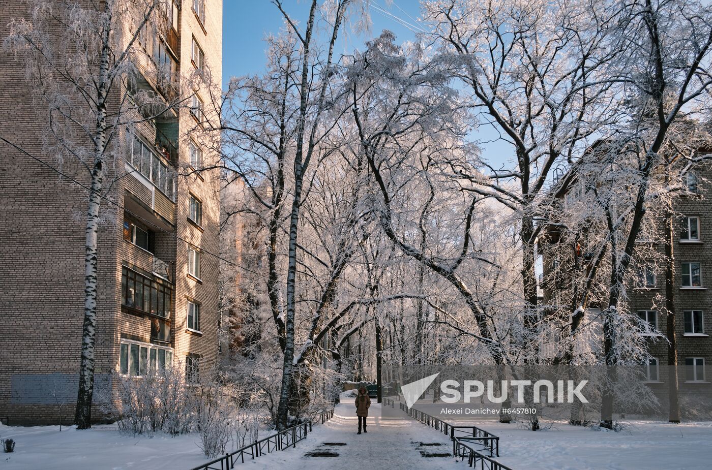 Russia Winter